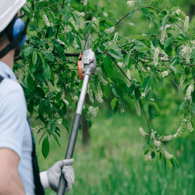 Brush Cutting