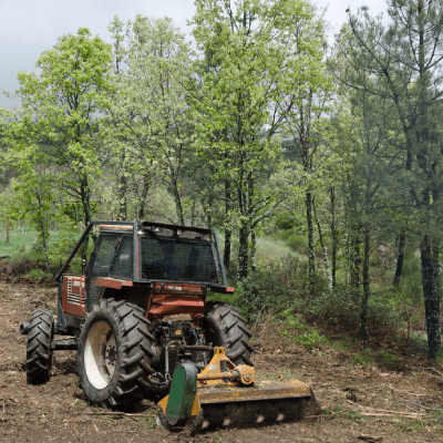 Forestry Mulching